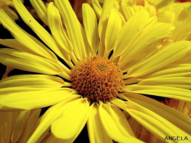 Foto de Córdoba (Andalucía), España