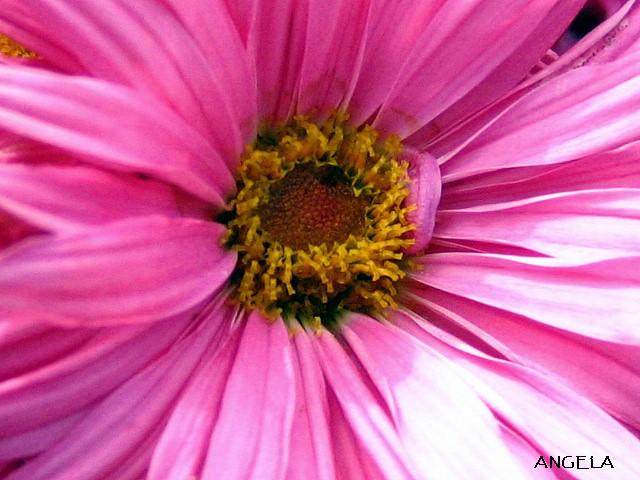 Foto de Córdoba (Andalucía), España