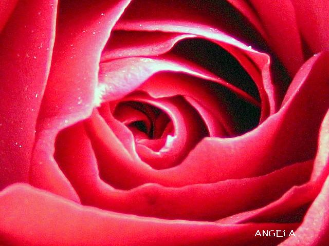 Foto de Córdoba (Andalucía), España