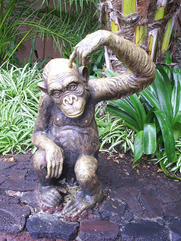 Foto de Puerto de la Cruz (Santa Cruz de Tenerife), España