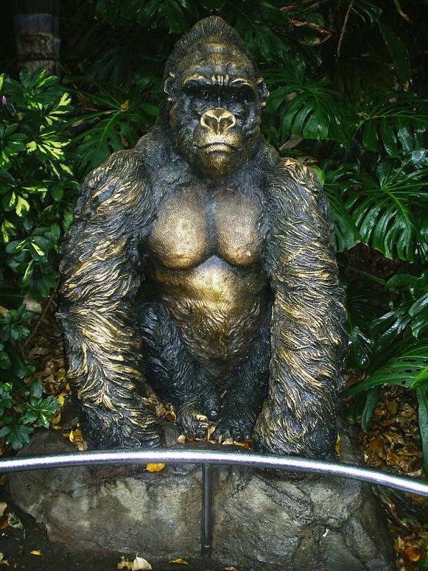 Foto de Puerto de la Cruz (Santa Cruz de Tenerife), España