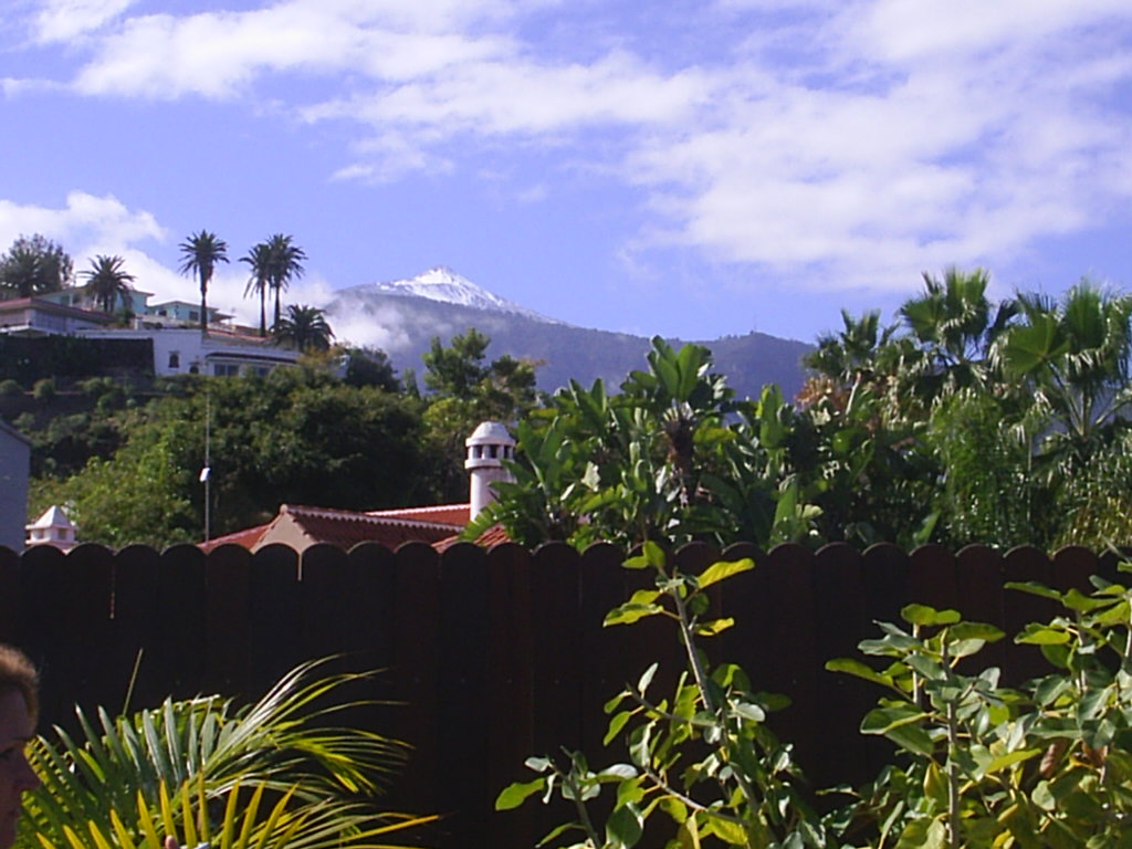 Foto de Puerto de la Cruz (Santa Cruz de Tenerife), España