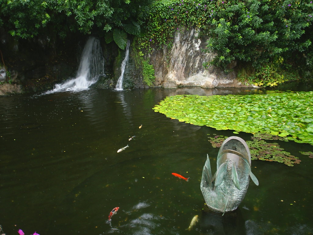 Foto de Puerto de la Cruz (Santa Cruz de Tenerife), España