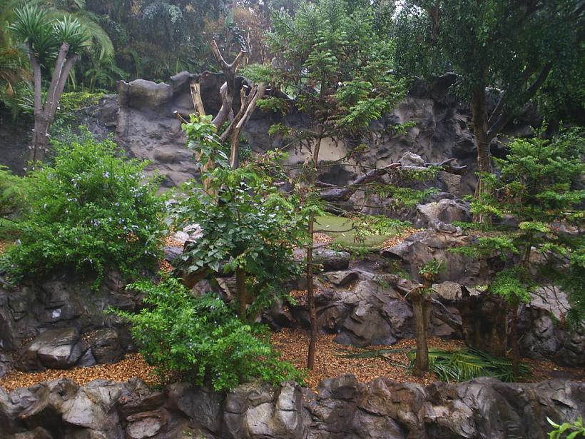 Foto de Puerto de la Cruz (Santa Cruz de Tenerife), España