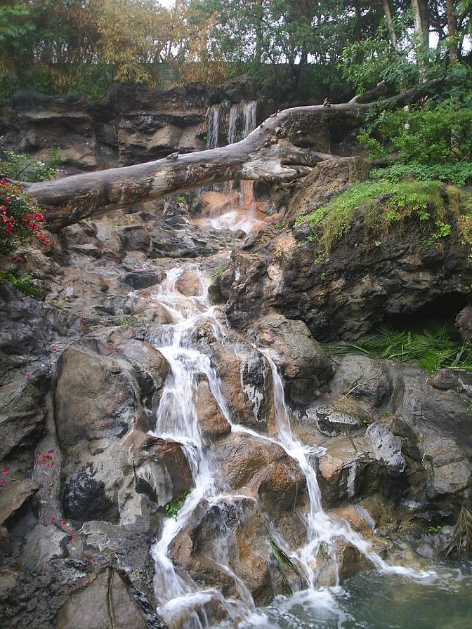 Foto de Puerto de la Cruz (Santa Cruz de Tenerife), España