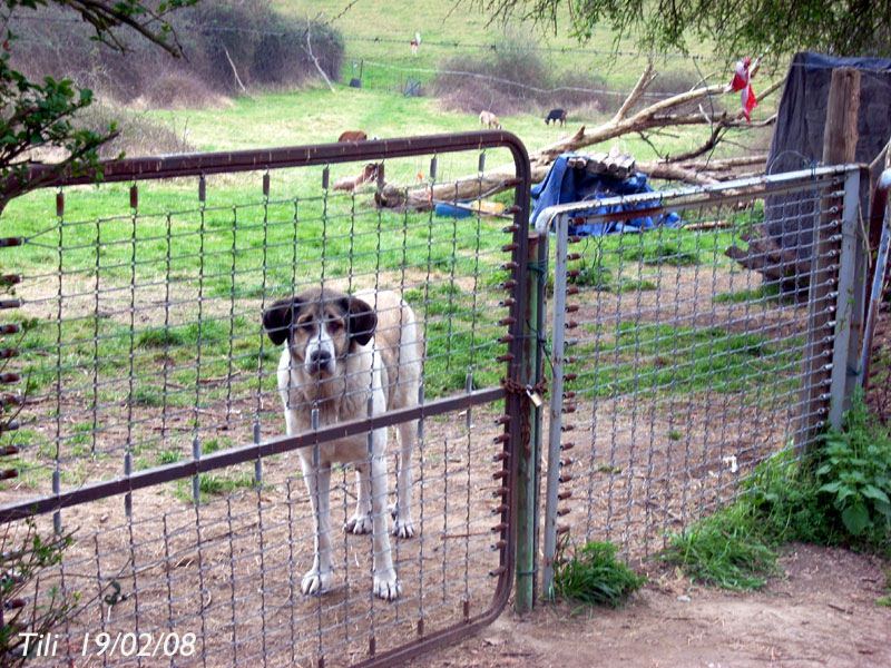 Foto de Oviedo (Asturias), España