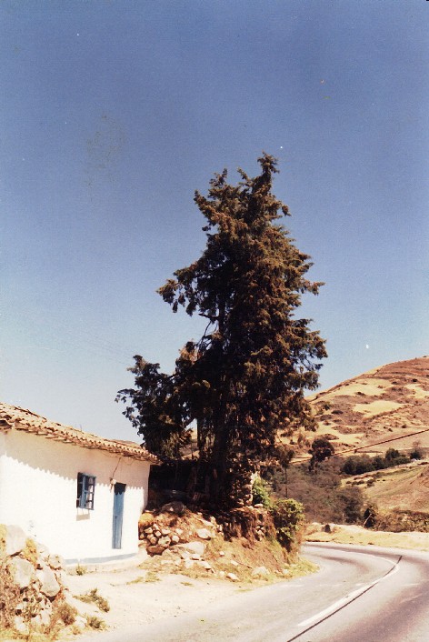 Foto de Mérida, Venezuela