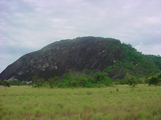 Foto de Amazonas, Venezuela