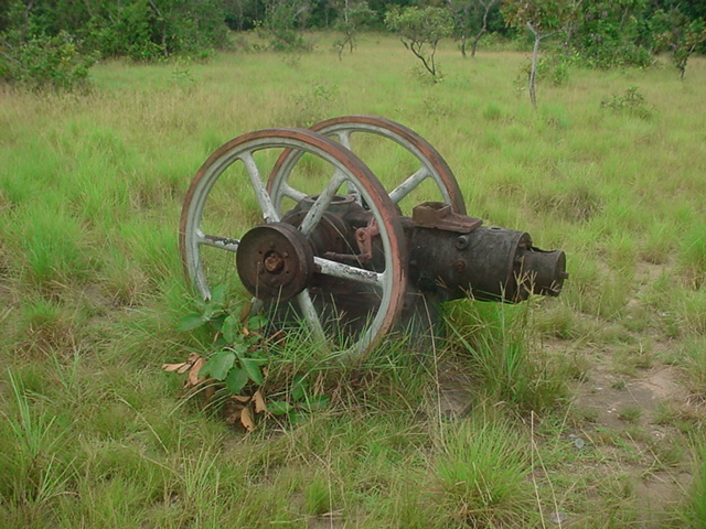 Foto de Amazonas, Venezuela