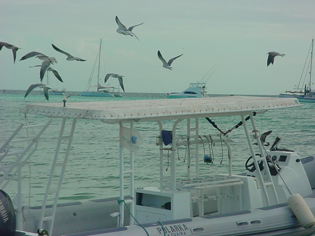 Foto de Los Roques, Venezuela