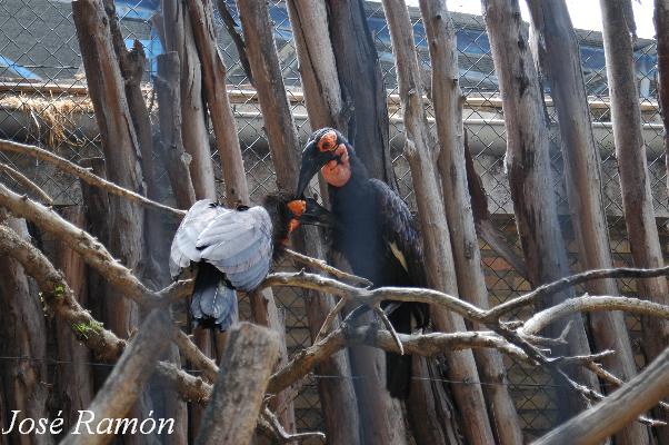 Foto de Jerez de la Frontera (Cádiz), España