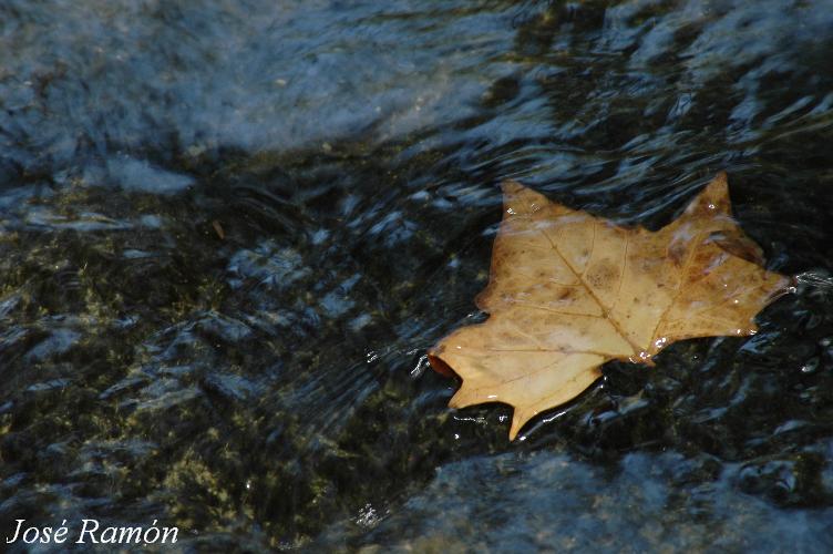 Foto de Jerez de la Frontera (Cádiz), España