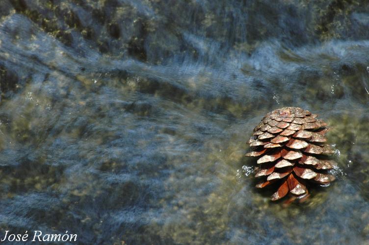 Foto de Jerez de la Frontera (Cádiz), España