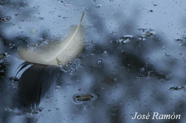 Foto de Jerez de la Frontera (Cádiz), España
