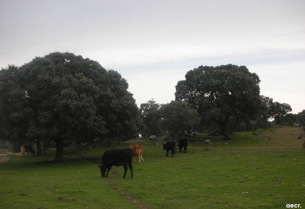 Foto de Valdemorillo (Madrid), España