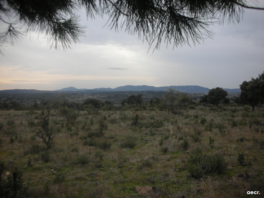 Foto de Valdemorillo (Madrid), España