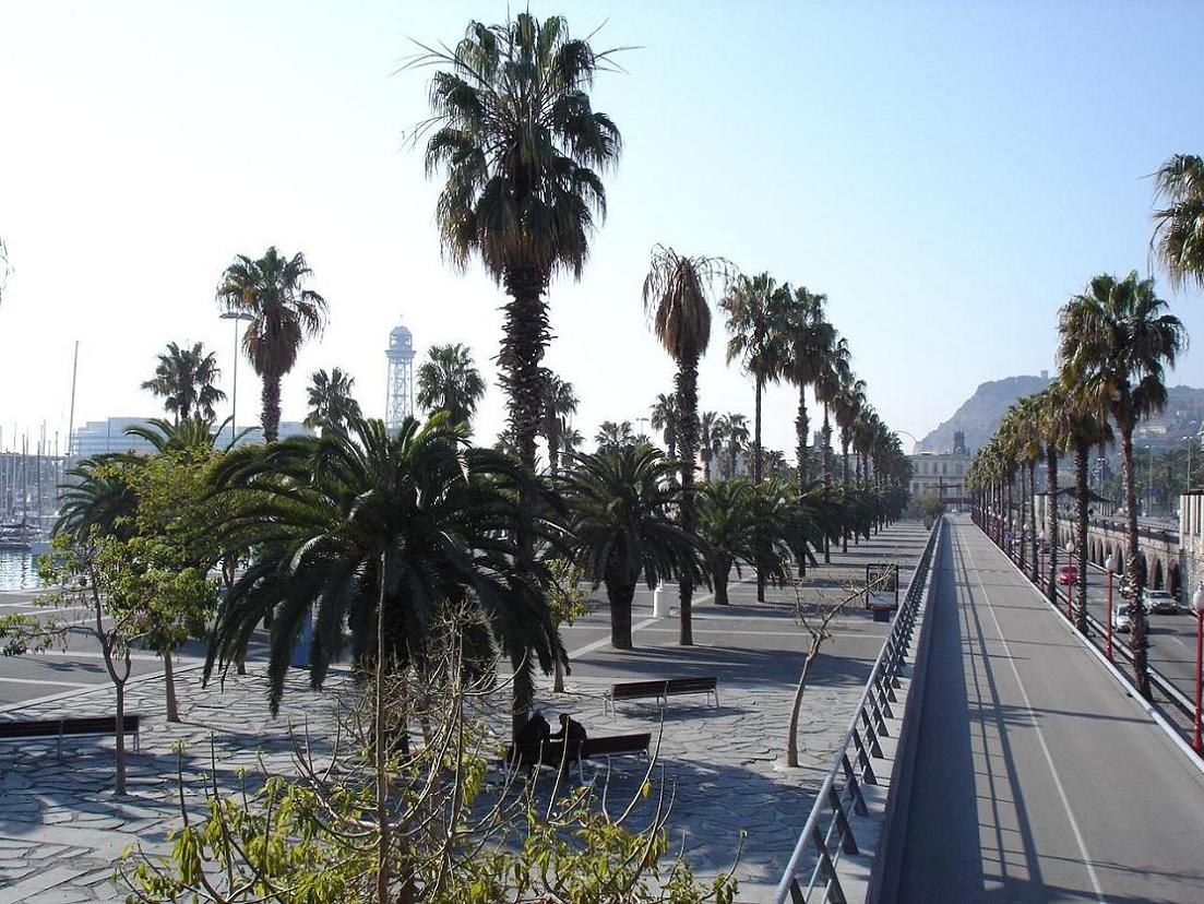 Foto de Barcelona (Cataluña), España