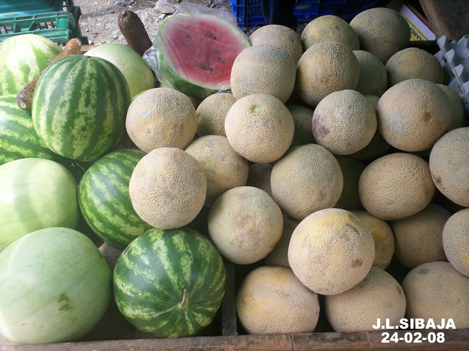 Foto de San Ignacio de Acosta (San José), Costa Rica