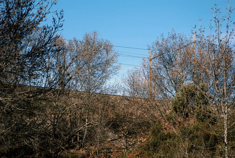Foto de San Lorenzo de El Escorial (Madrid), España