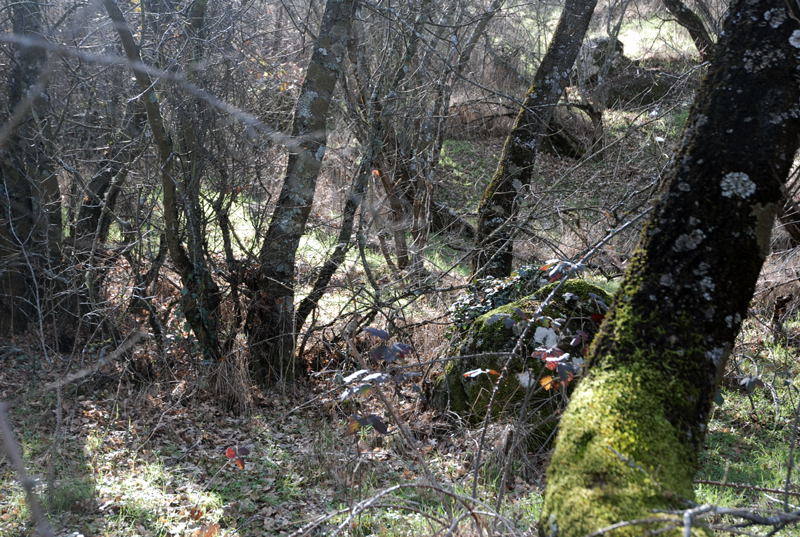 Foto de San Lorenzo de El Escorial (Madrid), España