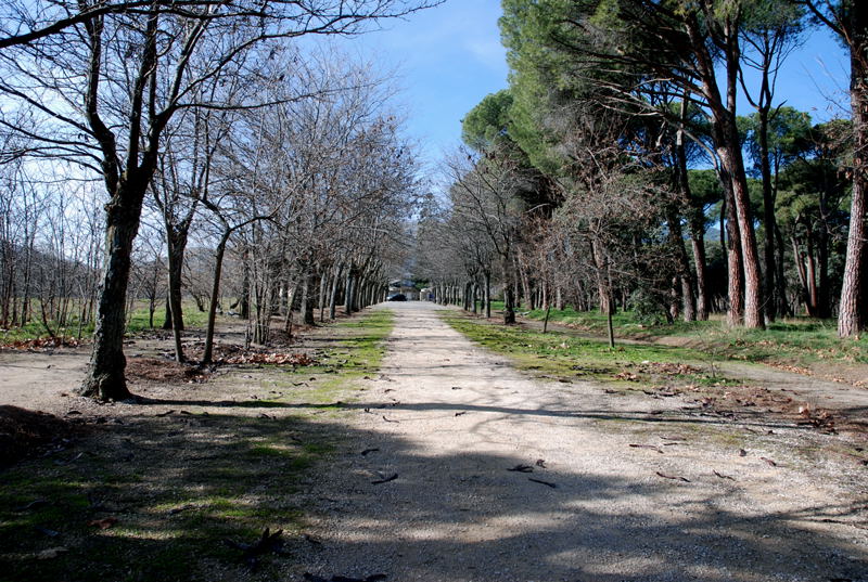 Foto de San Lorenzo de El Escorial (Madrid), España
