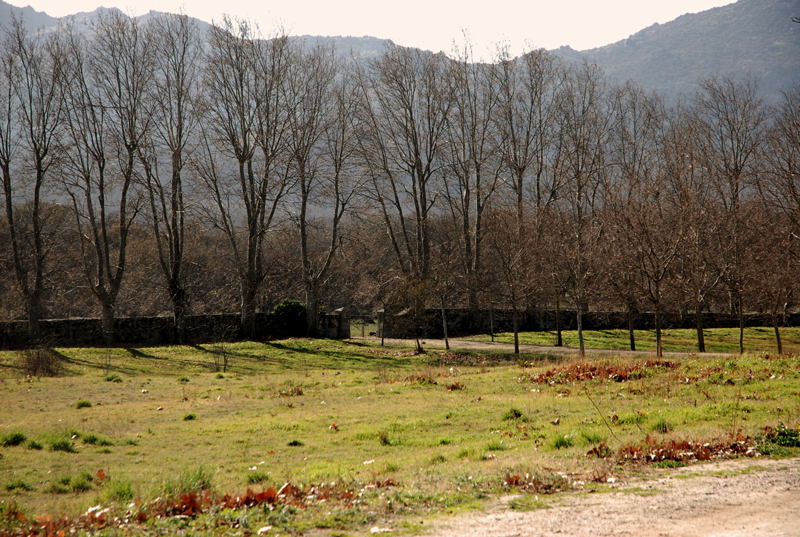 Foto de San Lorenzo de El Escorial (Madrid), España