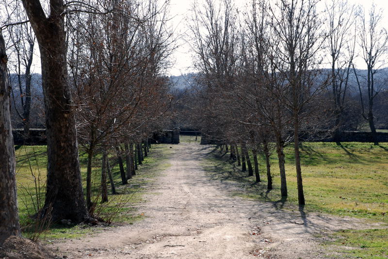 Foto de San Lorenzo de El Escorial (Madrid), España