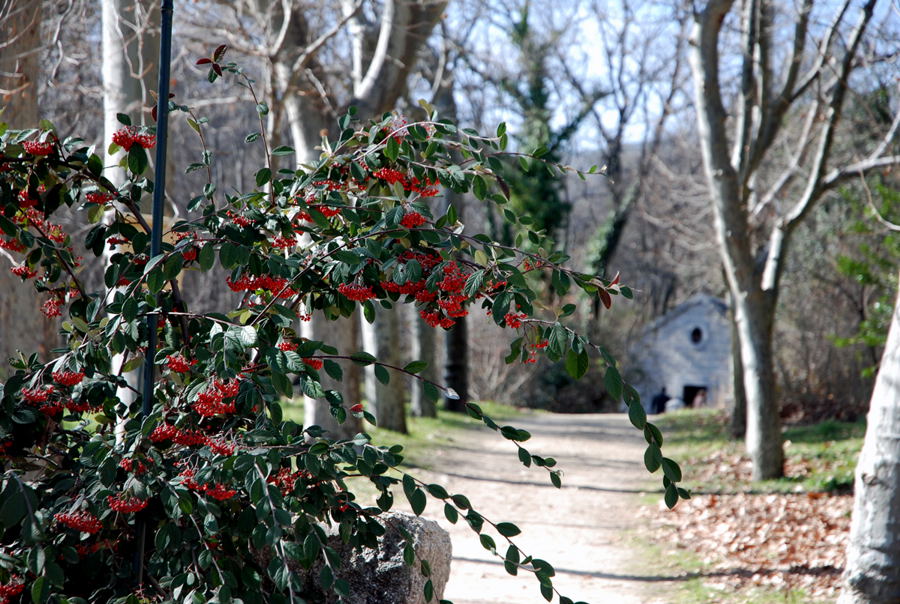 Foto de San Lorenzo de El Escorial (Madrid), España
