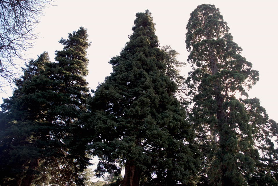 Foto de San Lorenzo de El Escorial (Madrid), España