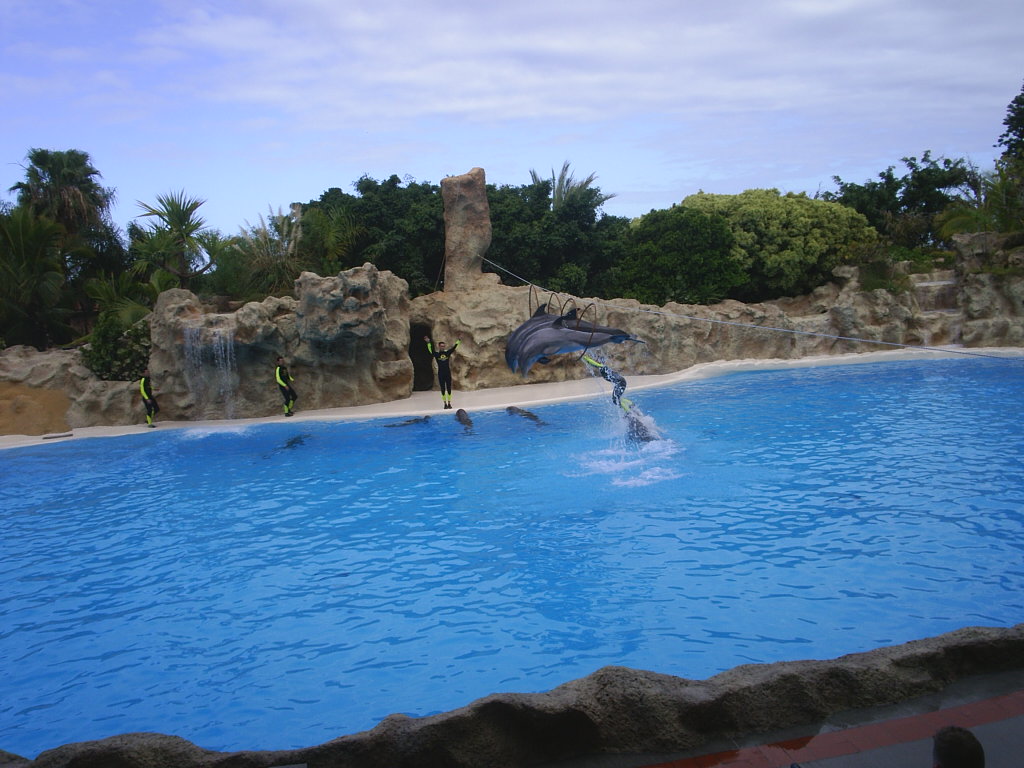 Foto de Puerto de la Cruz (Santa Cruz de Tenerife), España