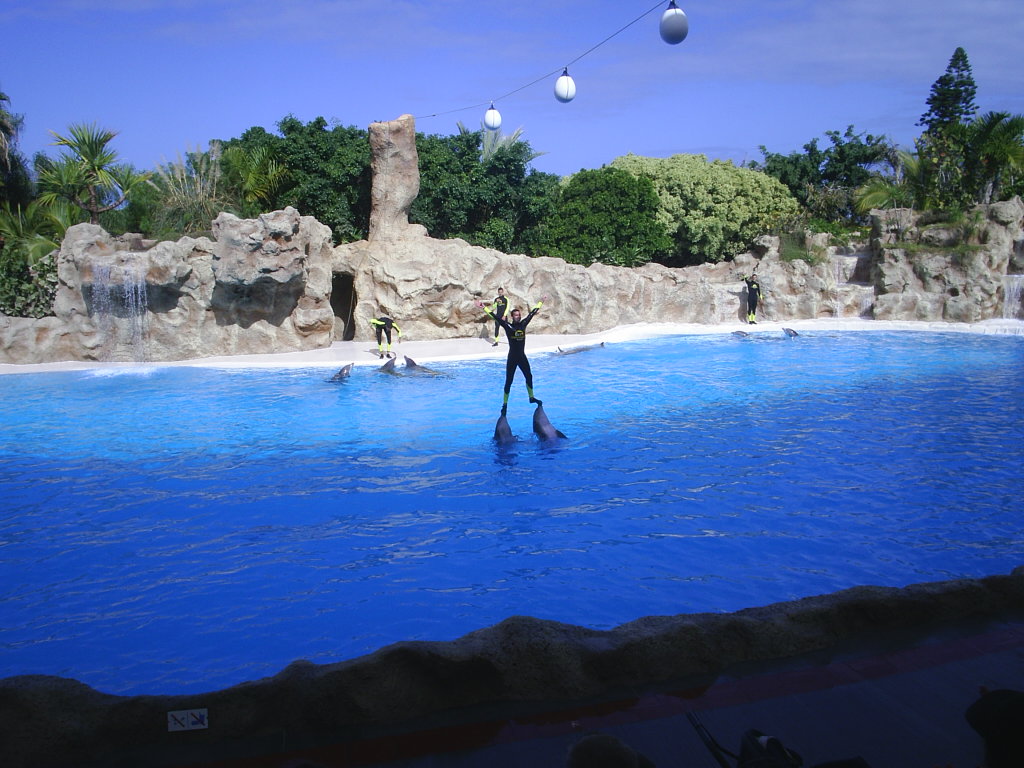 Foto de Puerto de la Cruz (Santa Cruz de Tenerife), España