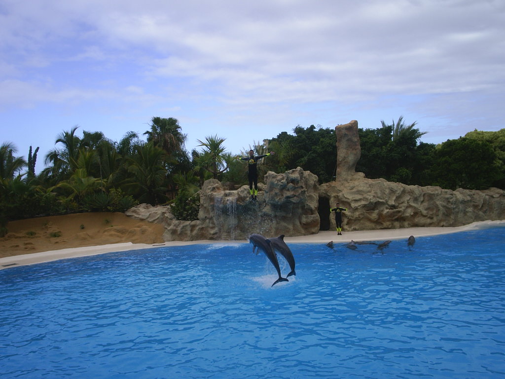 Foto de Puerto de la Cruz (Santa Cruz de Tenerife), España