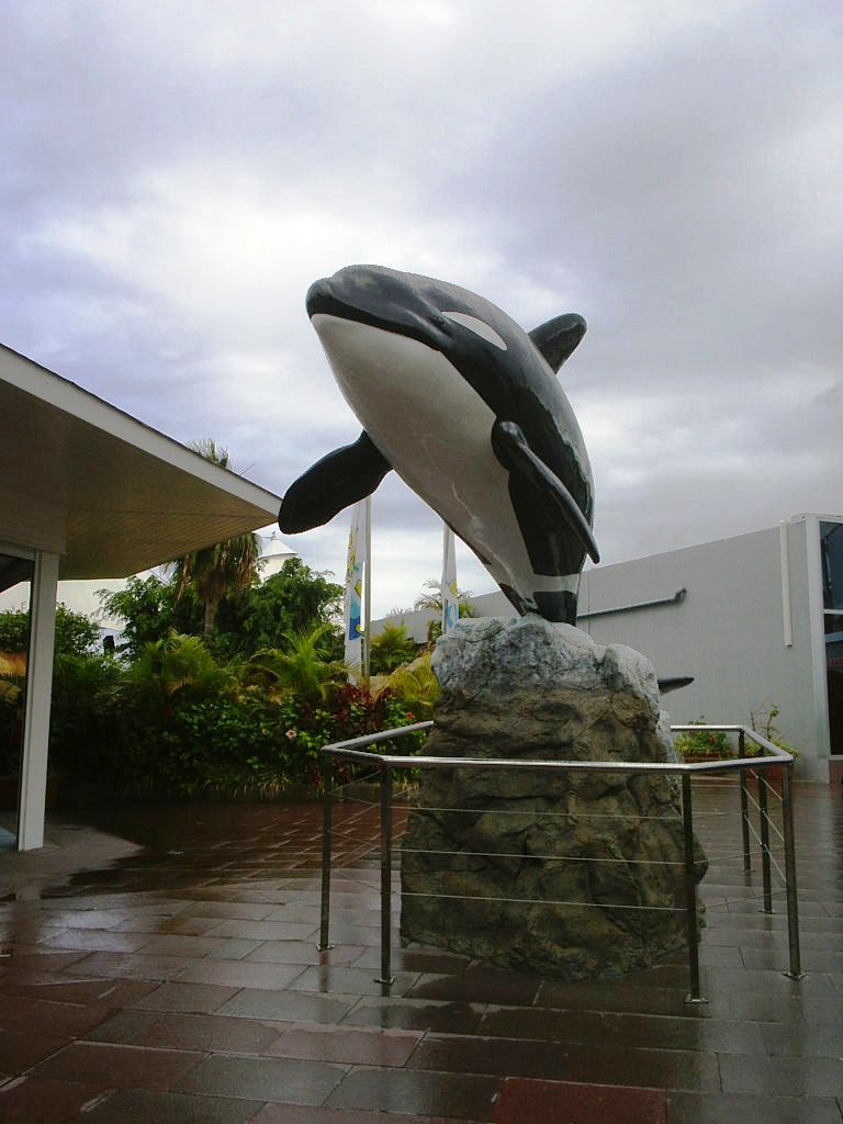 Foto de Puerto de la Cruz (Santa Cruz de Tenerife), España
