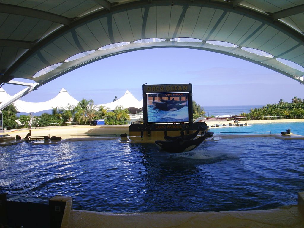 Foto de Puerto de la Cruz (Santa Cruz de Tenerife), España