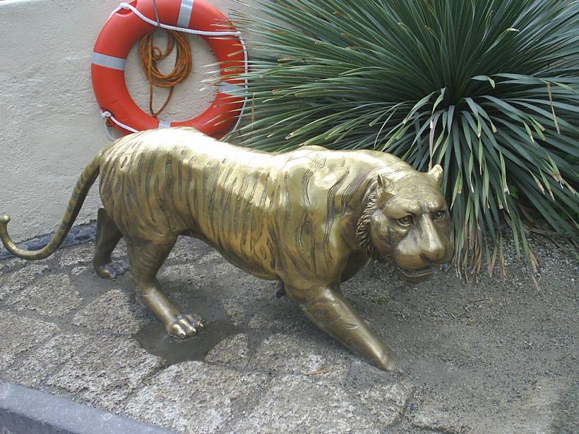 Foto de Puerto de la Cruz (Santa Cruz de Tenerife), España