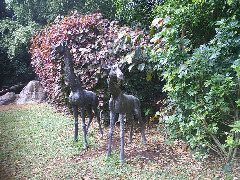 Foto de Puerto de la Cruz (Santa Cruz de Tenerife), España