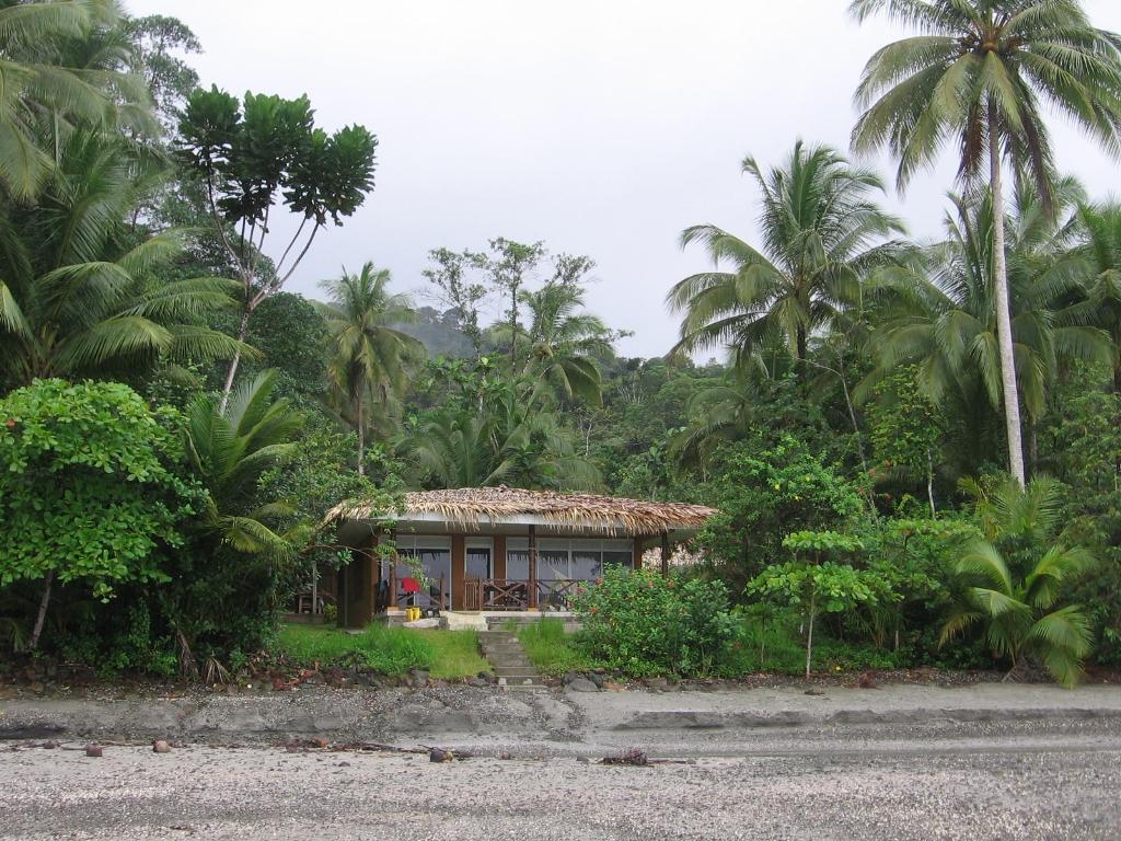 Foto de Isla Gorgona, Colombia