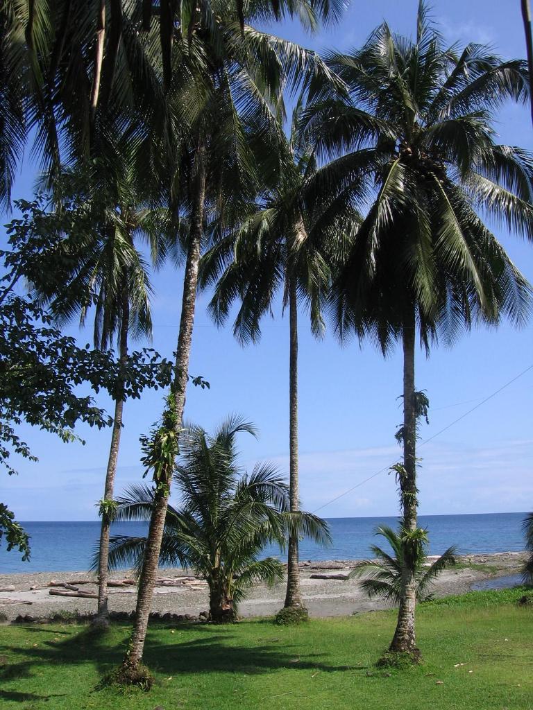 Foto de Isla Gorgona, Colombia