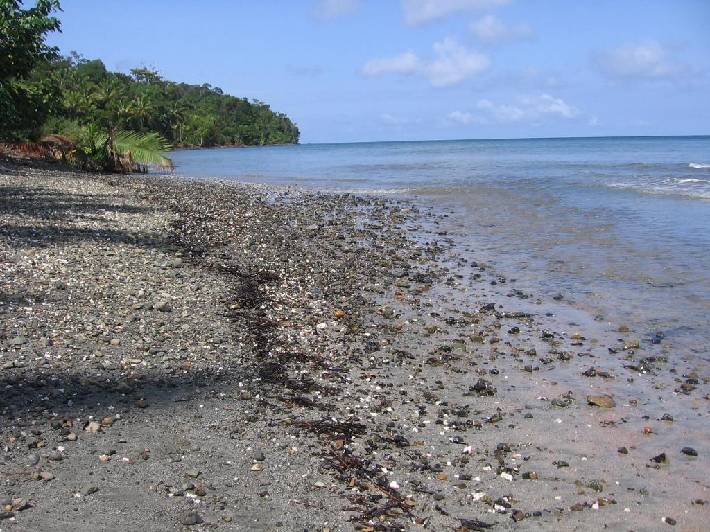 Foto de Isla Gorgona, Colombia