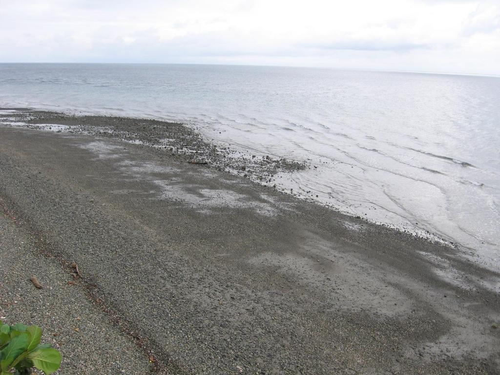 Foto de Isla Gorgona, Colombia