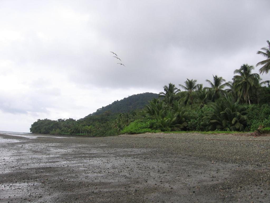 Foto de Isla Gorgona, Colombia