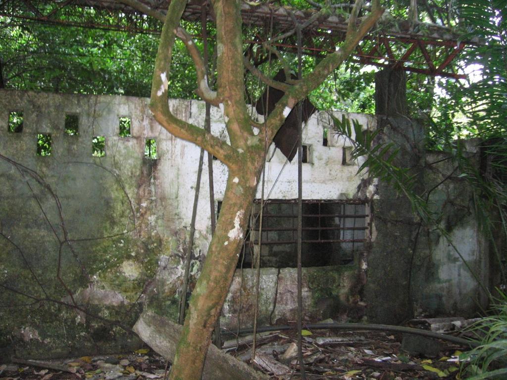 Foto de Isla Gorgona, Colombia