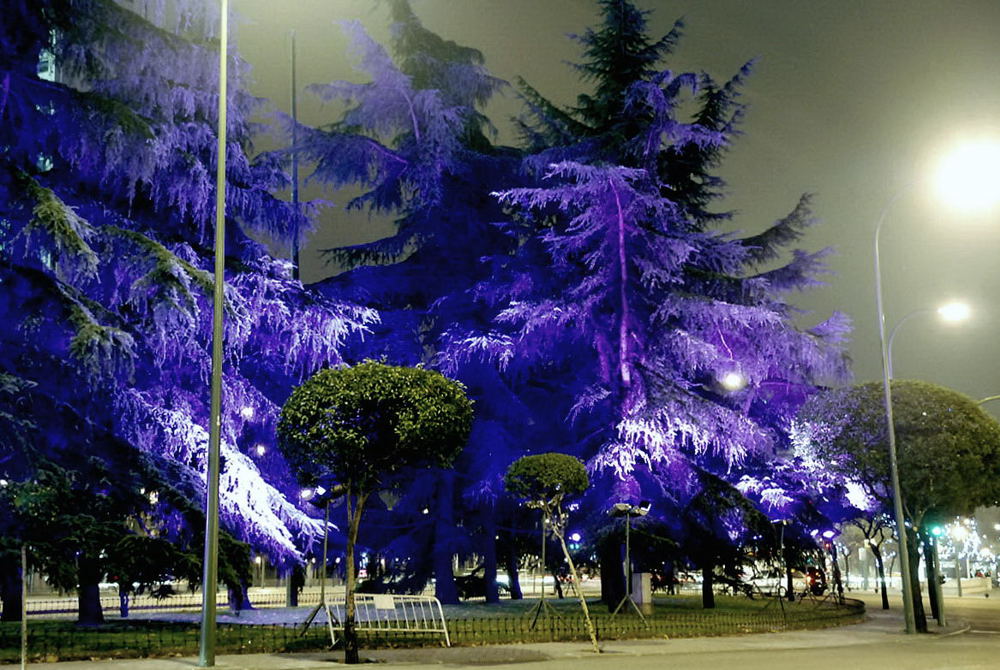 Foto de Madrid (Comunidad de Madrid), España