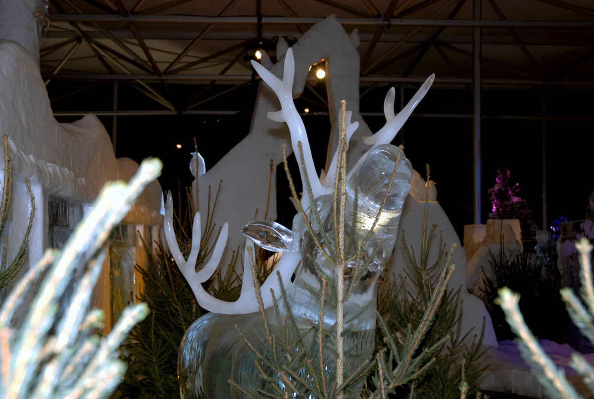 Foto de Madrid (Comunidad de Madrid), España