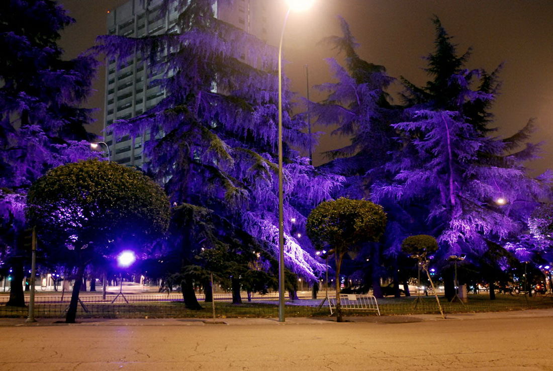 Foto de Madrid (Comunidad de Madrid), España