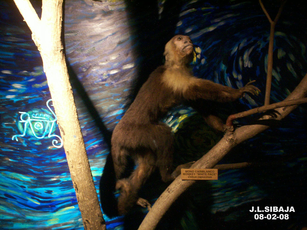 Foto de San José, Costa Rica