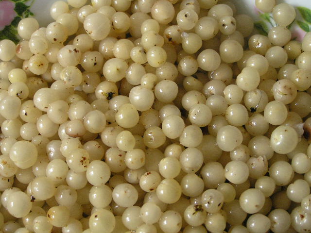 Foto de Cutervo, Perú