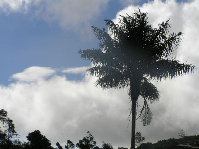 Foto de Cutervo, Perú