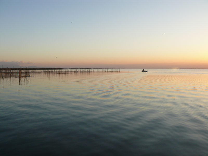 Foto de Valencia (València), España