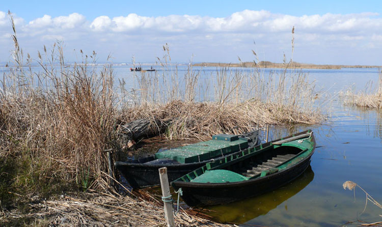Foto de Valencia (València), España